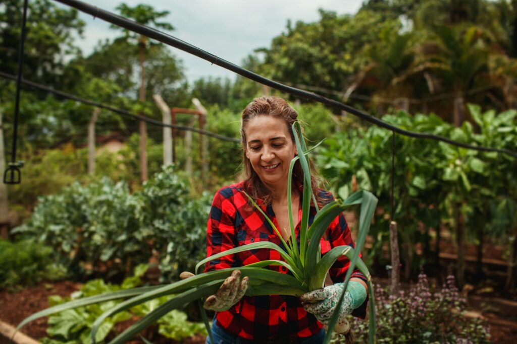 gardening is an interesting way to overcome boredom in life